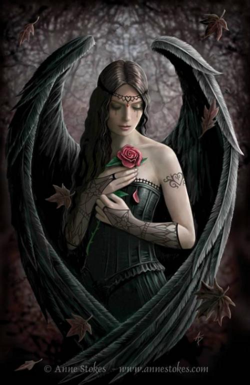 gothic rose gothic rose