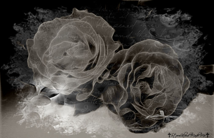 Gothic-background with two white roses