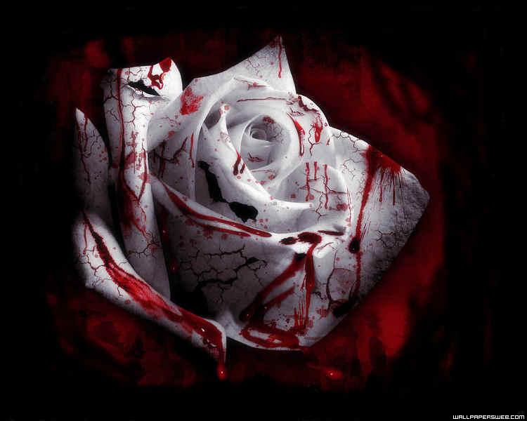 Gothic-rose