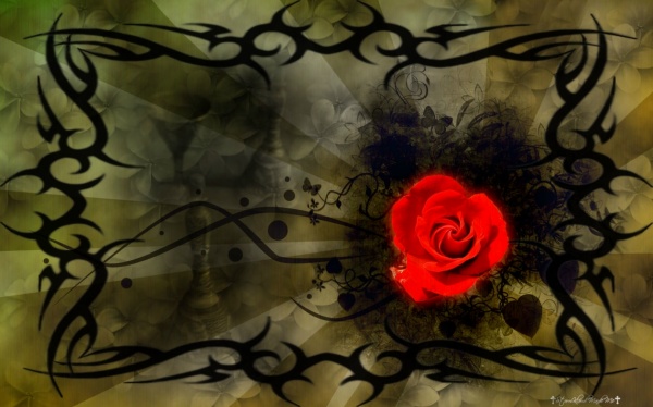 gothic red rose